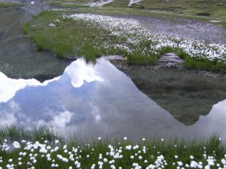 La Gran Cima a sin. e il M. Perrin a destra, si specchiano nel lago Perrin