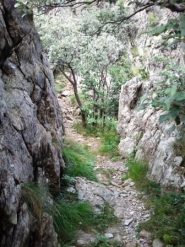 passaggio 'chiave' al bivio per la carbunea (sentiero 'A') tra il passo camula' e la vetta