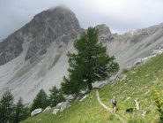 uscendo dal bosco, al centro il passo Desertes