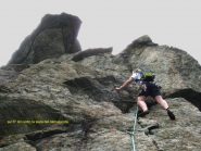 muro sotto la testa del camaleonte