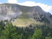 bergeria nella parte alta della Combe de la Lause 