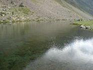 Trasparenza