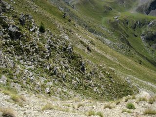 Al colletto dopo il primo canale.