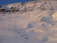 formicaio di cordate