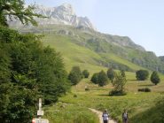 dal bosco della Giumenta,panorama del C. Piccolo