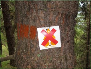 ...vietato o sconsigliato alle MTB?!...