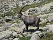 Il simbolo del Parco