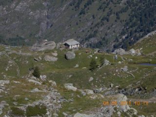 Il giardino botanico