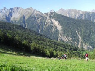 in salita sui dossi erbosi ....