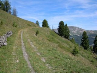 Fuori dal bosco