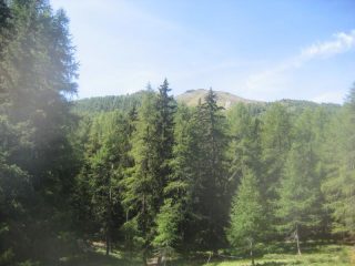 la cima