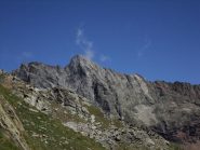 Corno Bianco