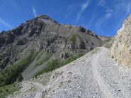 Fino a Rocca Tagliata si pedala