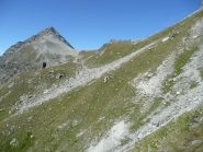 Quasi al colle Vessona