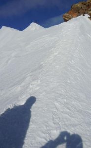 quasi in cima alla Parrot