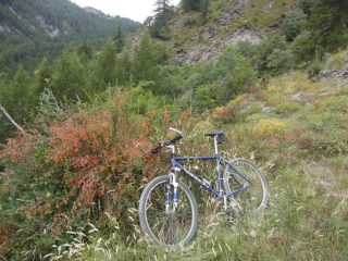 Colori sul percorso