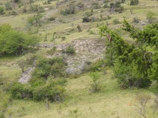 Salita costante