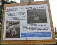 Attenti al cane