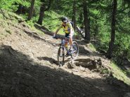 tratto tecnico nel bosco