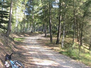 Bel tratto nel bosco