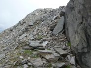 verso la cima delle fasce