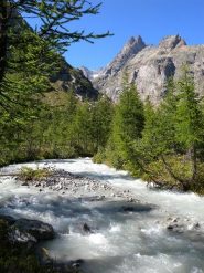 primo tratto in comune con Dalmazzi