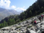all'uscita dal bosco fitto in  vista degli ultimi dossi erbosi prima del lago...