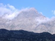pizzo uccello