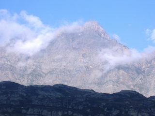 pizzo uccello