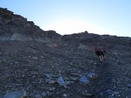 Quasi al Passo di Novalesa