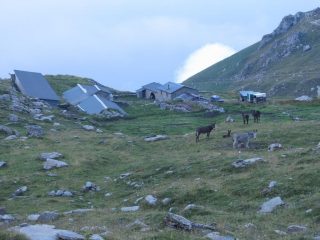 Alpe Tour