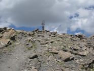 quasi arrivati