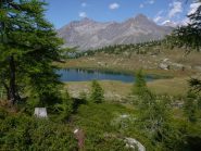 lago dres