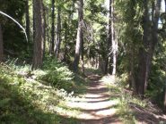 seniero della crete rionard