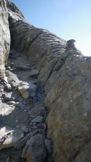 Camino.trincea della Rocca Bianca