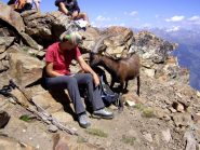 Incontro ravvicinato