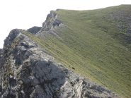 La cima del Pelvo a dx 