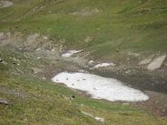 Summit di camosci !!!