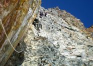 Canapone nel canale roccioso