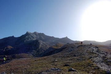 il sommellier in alto a sinistra