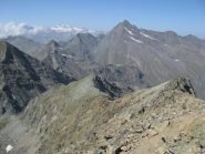 Panorama dalla vetta del M. Glacier