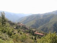 Triora