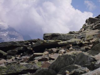 marmotta mimetizzata in pietraia...
