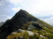 Pezza Comune  Cima 2420