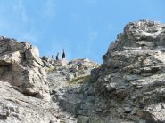 camosci molto curiosi