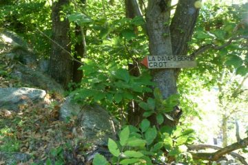 il sentiero iniziale