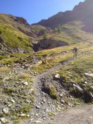 qualche variante in discesa