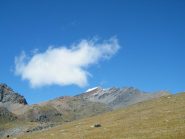 il taou blanca metà pomeriggio