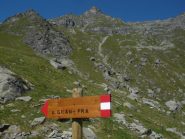 al centro il becco dell'alpetto