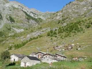 Alpe Crosenna